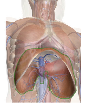 スクリーンショット 2025-09-07 12.53.52