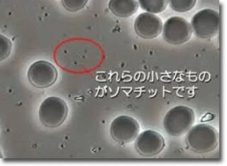 o0320023414667514409