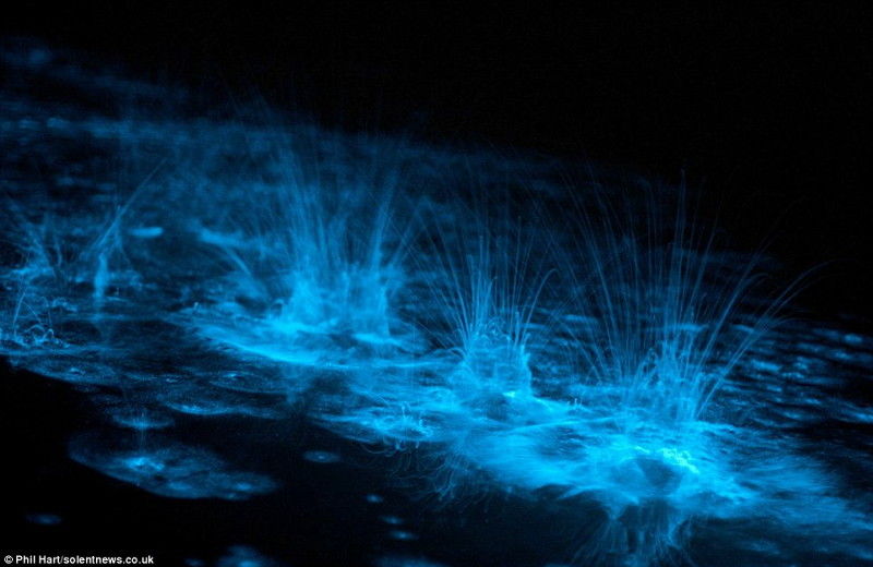幻想的な青い画像 青春 幻想的２次元画像まとめ