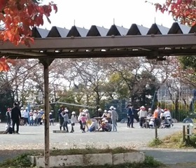 新開小20171111エコラリー