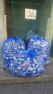 土合小20161214アルミ缶回収3