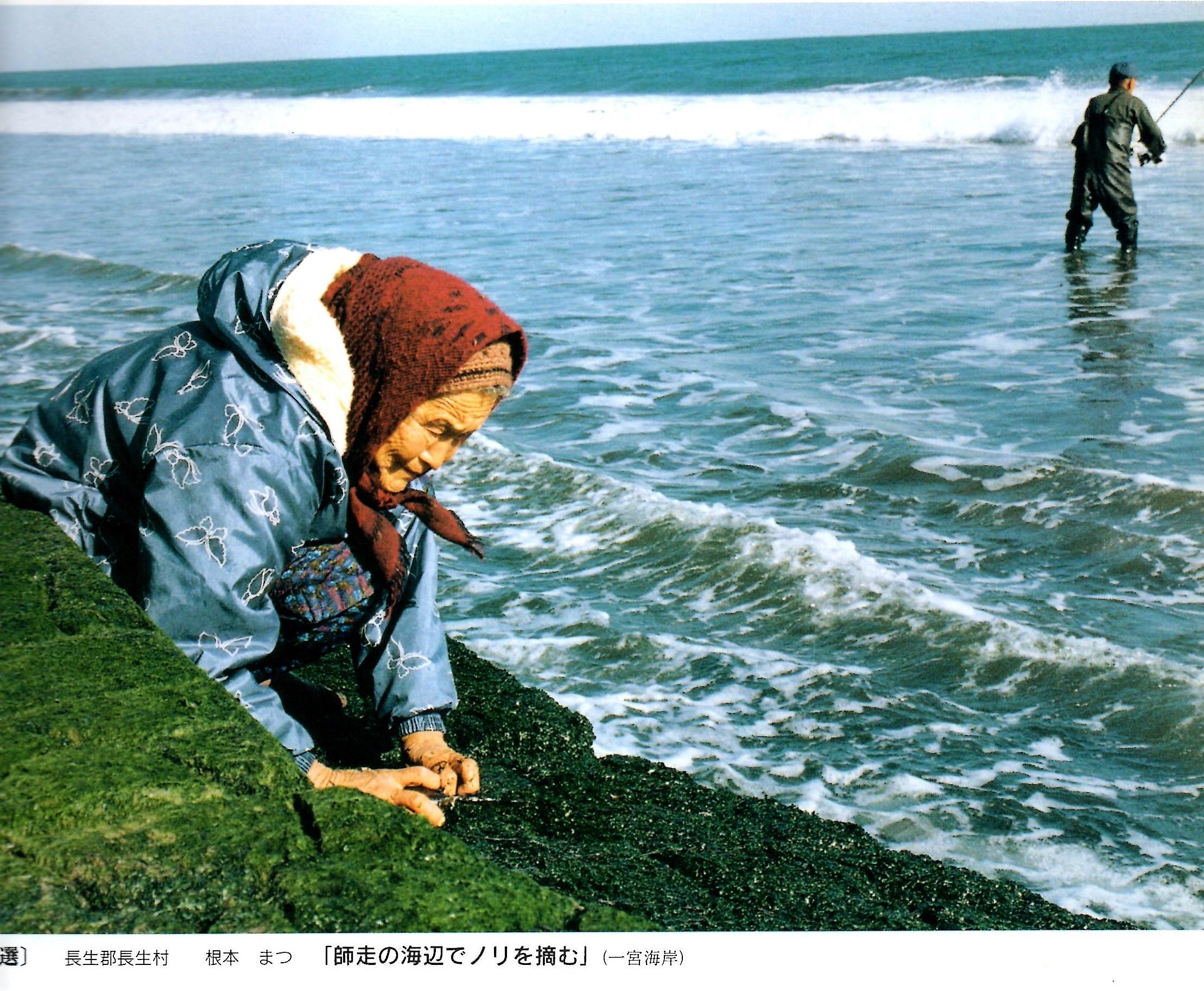 5795 うつせみの 命を惜しみ 波に濡れ 伊良虞の島の 玉藻刈り食む 名歌名句鑑賞のblog