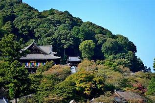 1403 憂かりける 人を初瀬の 山おろしよ はげしかれとは 祈らぬものを 名歌名句鑑賞のblog