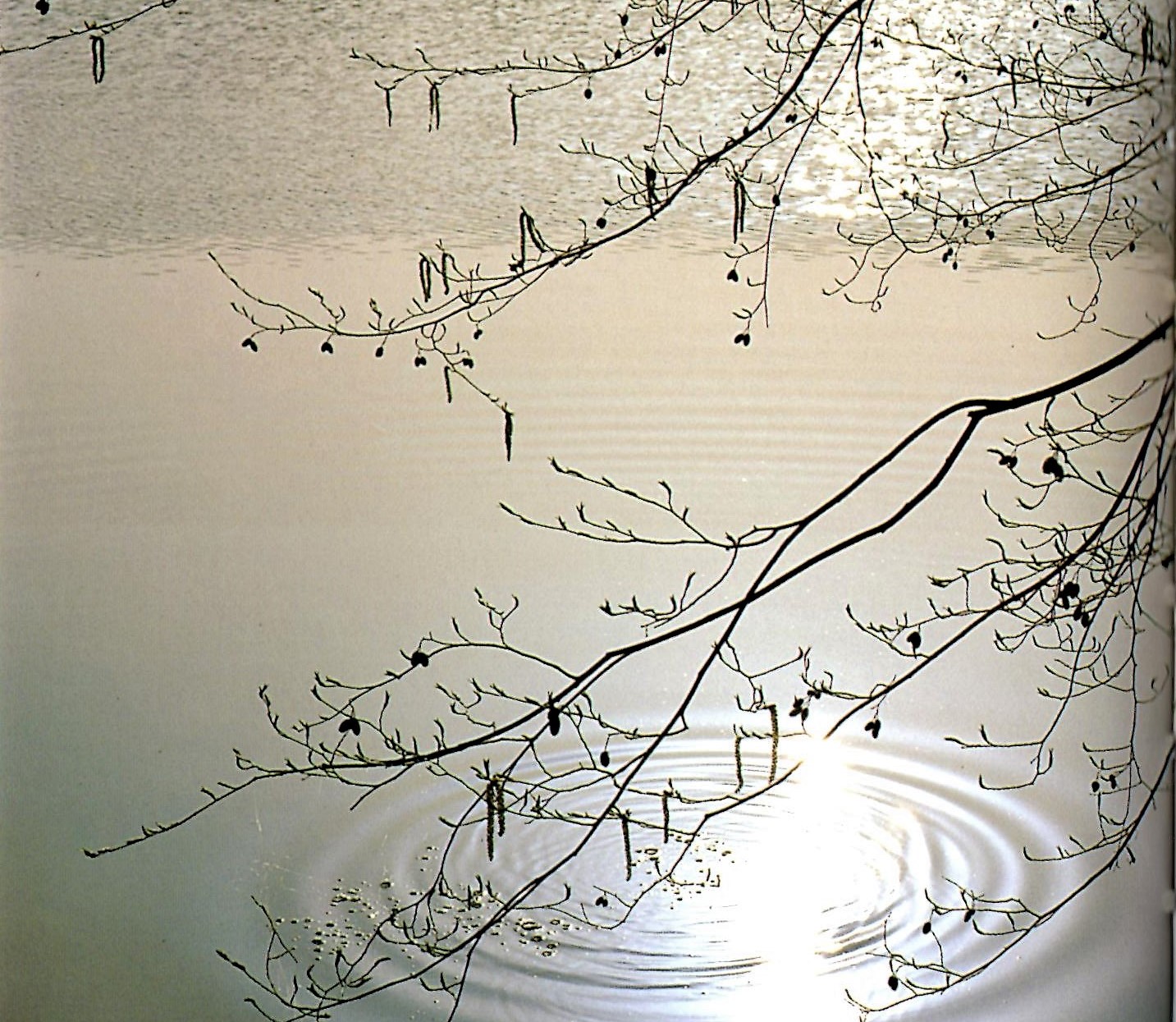 名歌鑑賞 水の面に あや織りみだる 春の雨