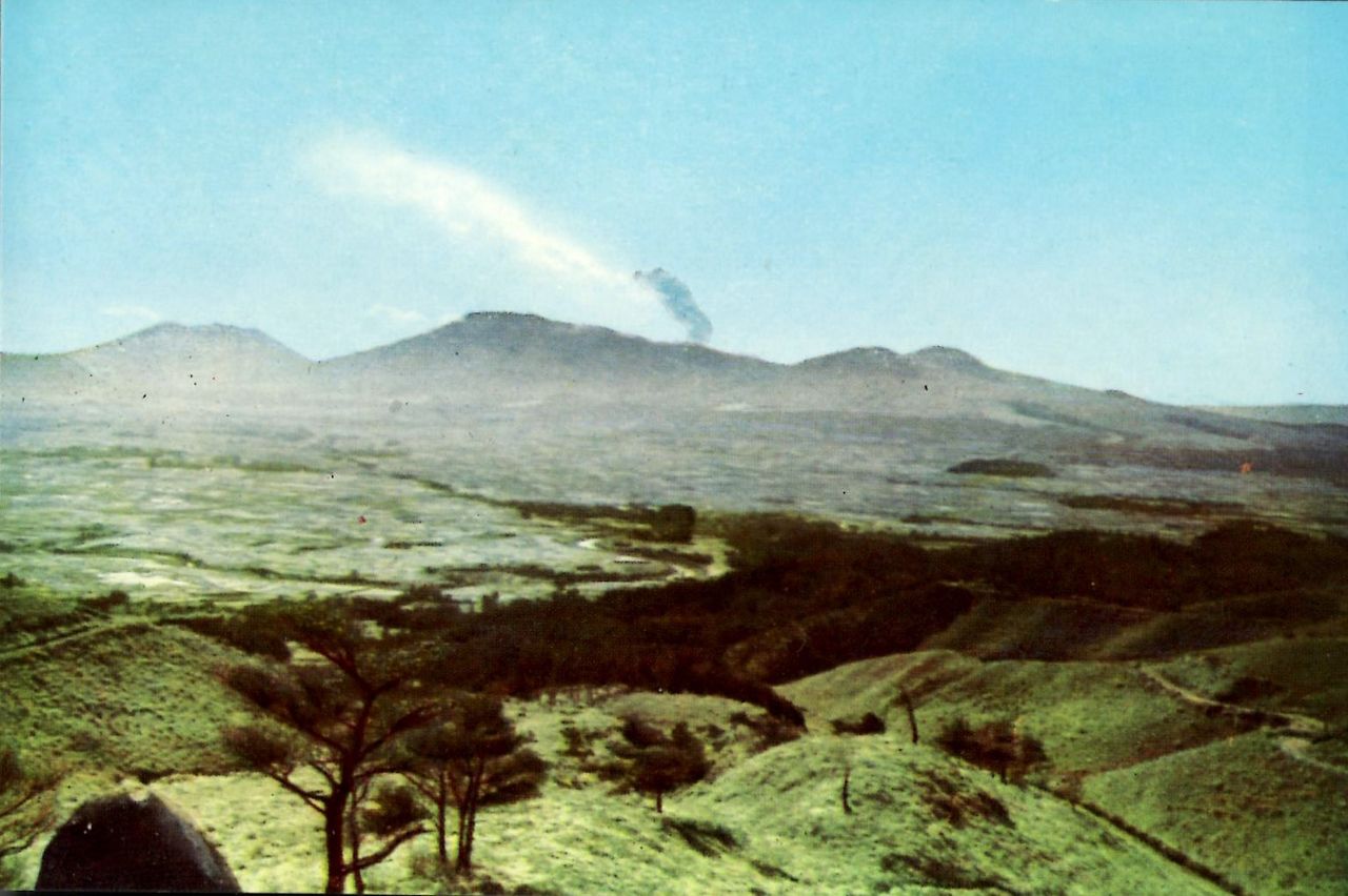 短歌 名歌鑑賞のブログ