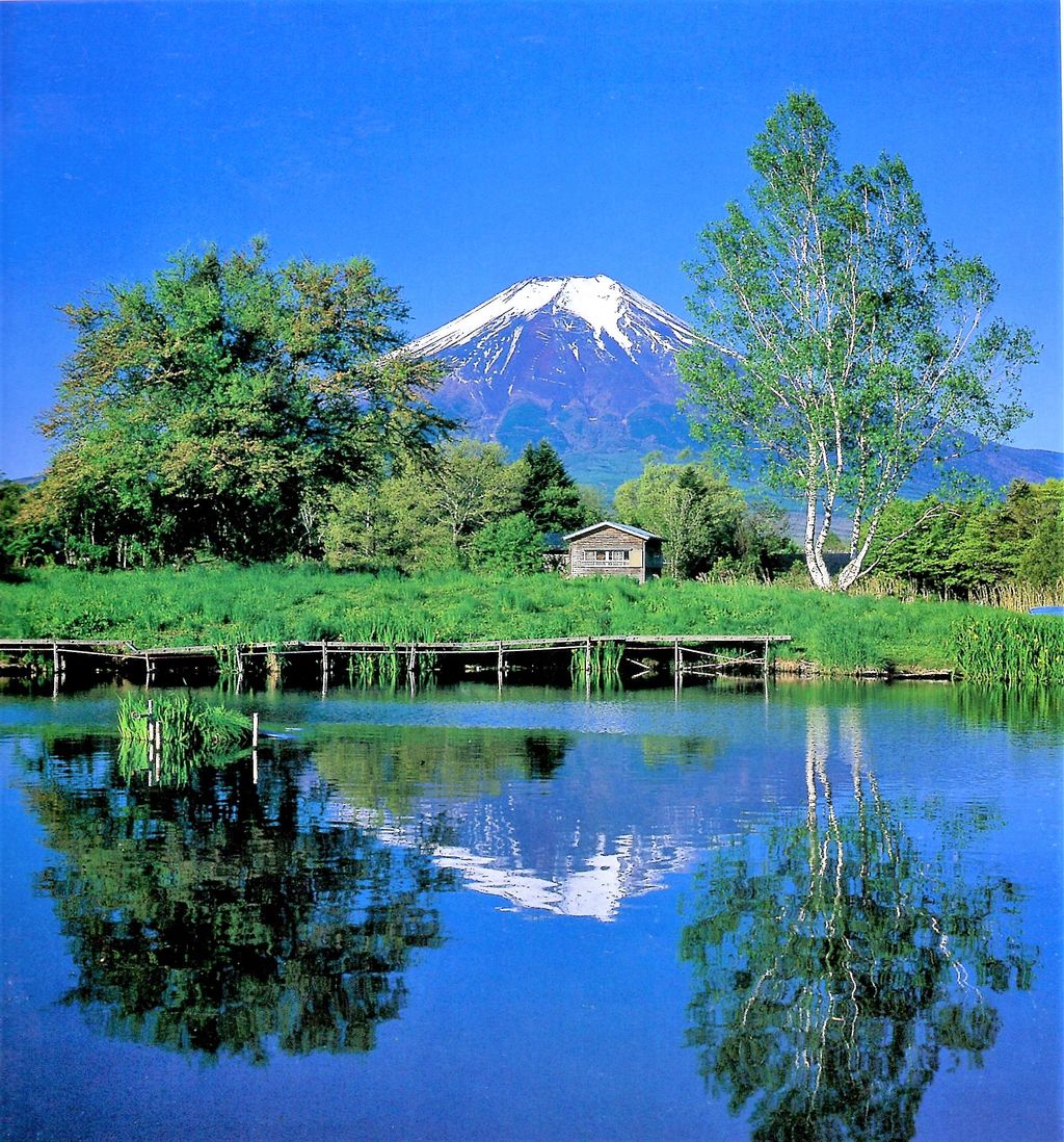 5 すずしさや水に柳のかげ法師 名歌鑑賞のブログ 5 すずしさや水に柳のかげ法師 名歌鑑賞のブログ