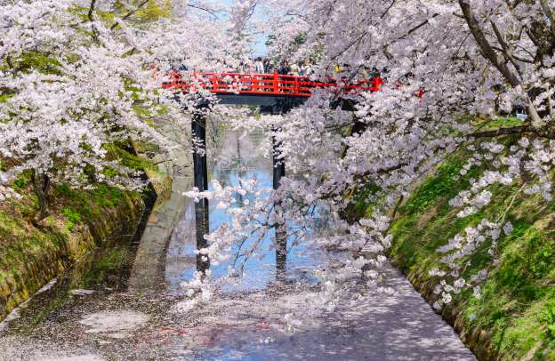 ゆく水と 過ぐる齢と 散る花と いづれ待ててふ ことを聞くらむ 名歌鑑賞