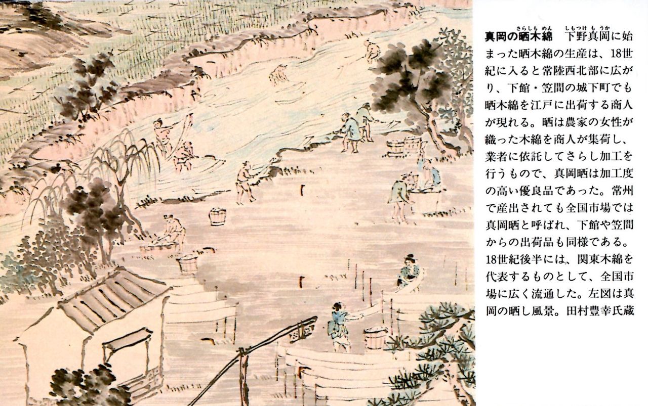 活動歴および当時の関連ビジュアル記録