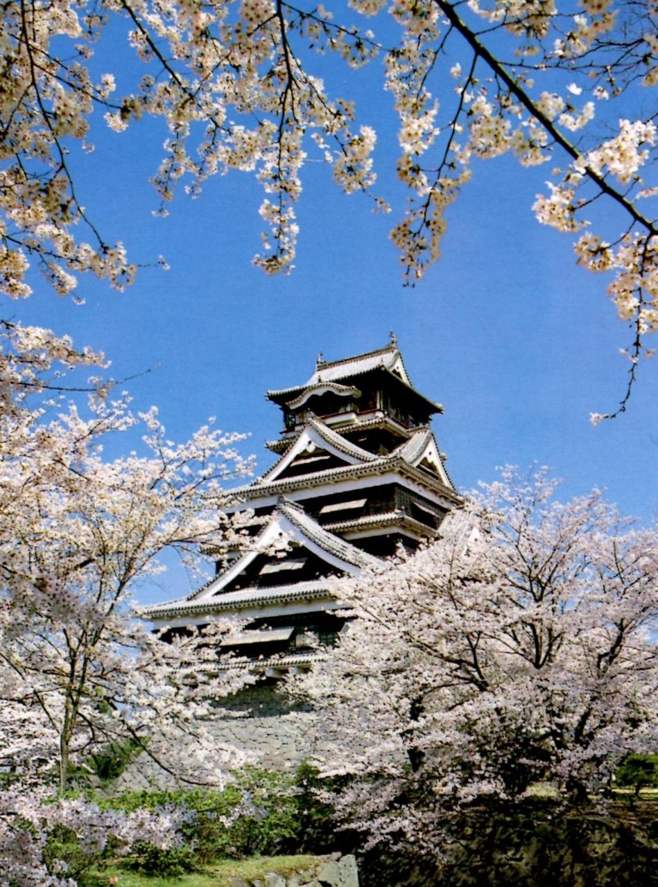 名歌鑑賞 敷島の 大和心を 人問えば 朝日ににおう 山桜花