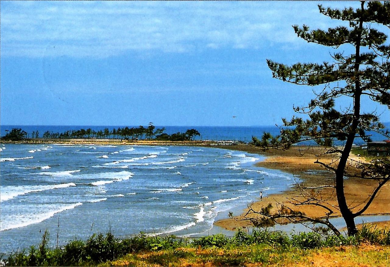 名歌鑑賞 沖つ波 たかしの浜の 浜松の 名にこそ君を 待ちわたりつれ