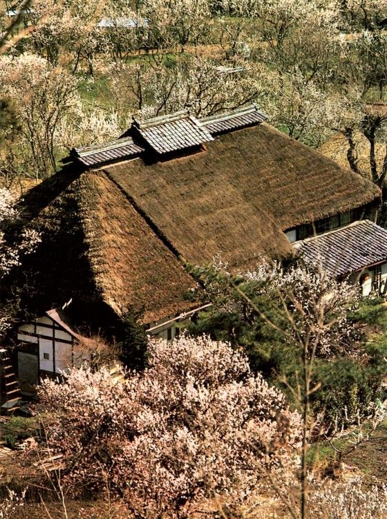 名歌鑑賞 楼の上も はにふの小屋も 住む人の 心にこそは たかきいやしき 名歌鑑賞 楼の上も はにふの小屋も 住む人の 心にこそは たかきいやしき