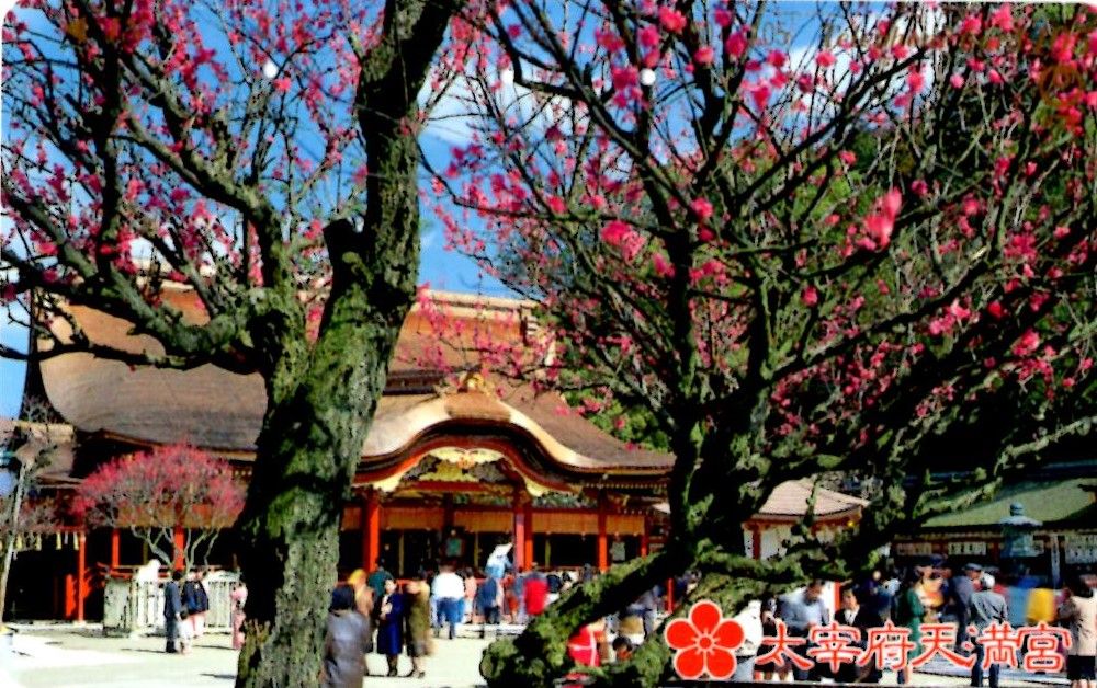 名歌鑑賞 東風ふかば にほひおこせよ 梅の花 主なしとて 春を忘るな