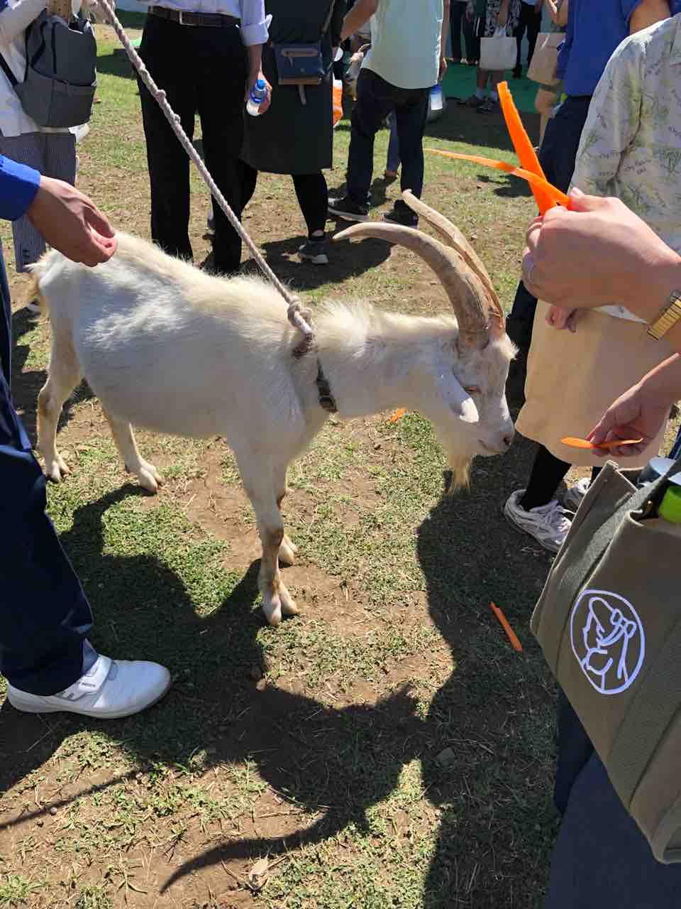 ヤギさんの送別会 立川ってどこにあるの