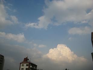 さくらのみち 199