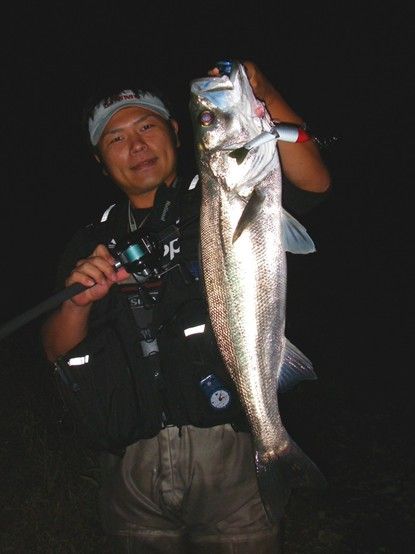 落ち鮎シーズンのビッグベイトシーバスゲーム Bouz Production 釣行記 落ち鮎シーズンのビッグベイトシーバスゲーム Bouz Production 釣行記