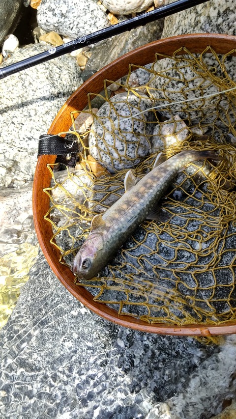 307114711_3376272206029448_1931157417469823299_n