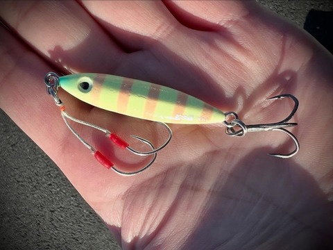 使用したメタルジグ