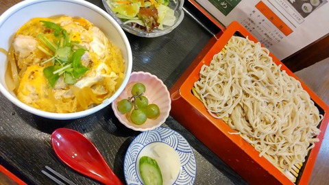 309019414_3391903127799689_7985309197845609739_n