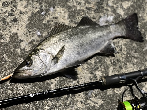 2025-06-20_00-30-57_938