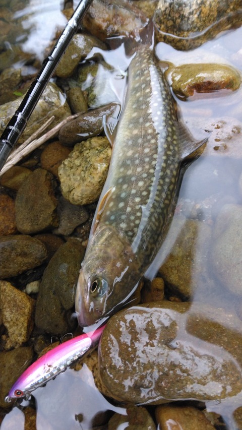 IMG_20230519_165654 (1)