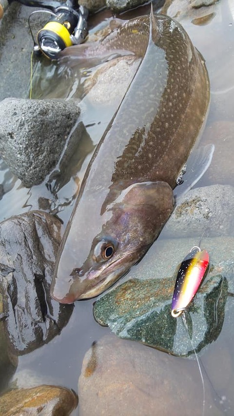 165595527_2929804330676240_3938236375368293332_n