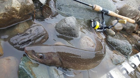 166179088_2929804294009577_2262313150202999200_n