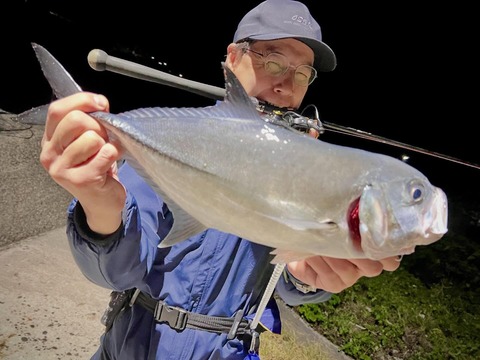 2日目のギンガメ_40クラス