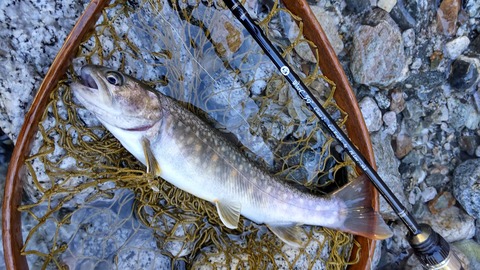 307858550_3376271716029497_10531138304000134_n