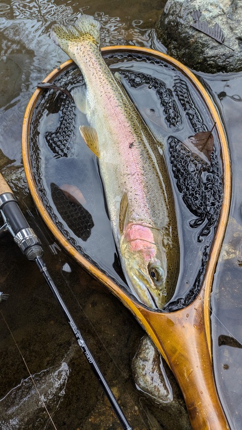 PXL_20251227_024552390