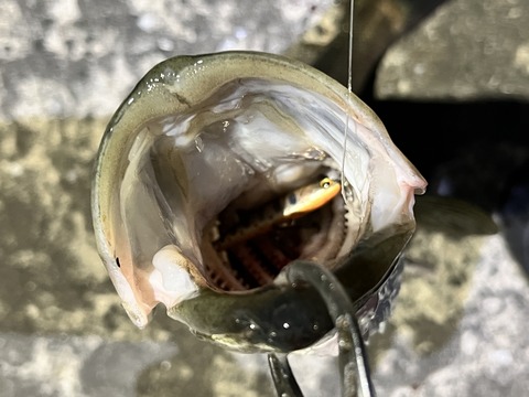 2025-06-20_00-57-00_626