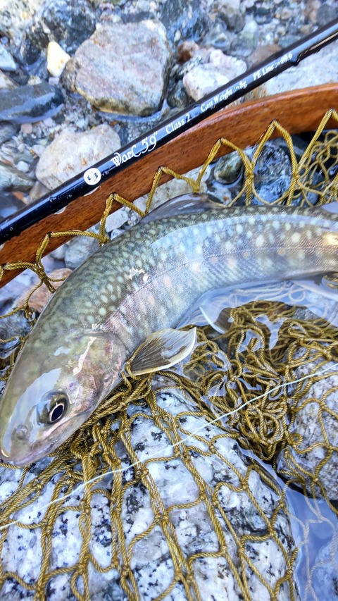 308667116_3376271856029483_9176712323237126078_n