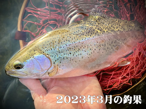 2913A1E0-16AB-458E-A1EB-906A8F60C1782023-03-22_17-16-35_992