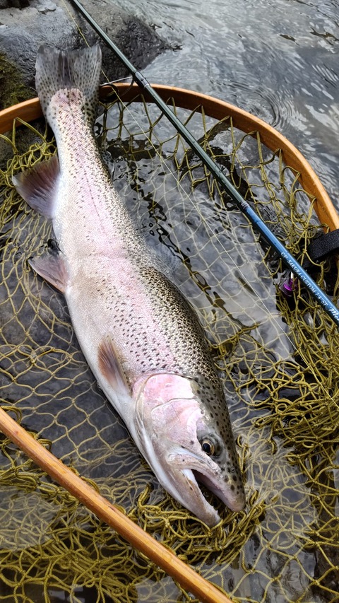 307979326_3391902987799703_5442701883886920593_n