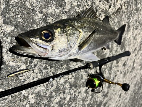 2025-06-20_00-13-53_639