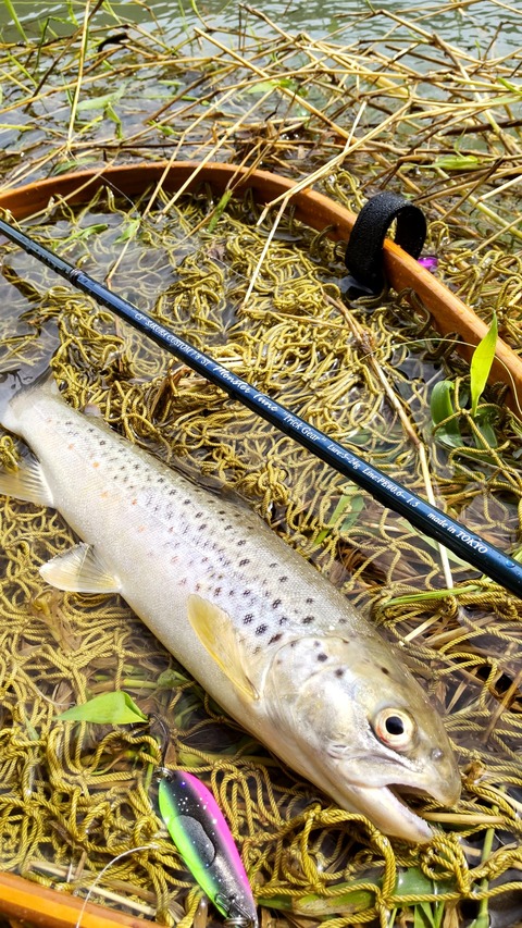 307967119_3391903014466367_3028683578716134710_n