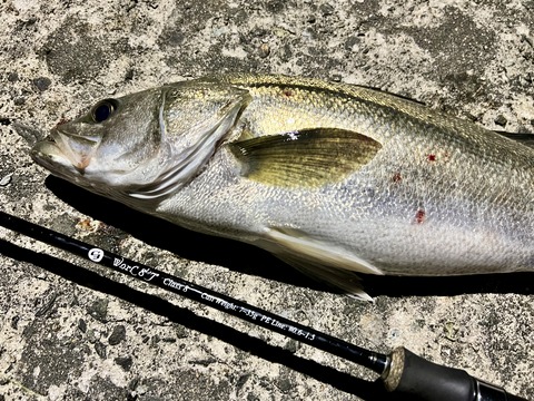 2025-06-20_01-20-22_206