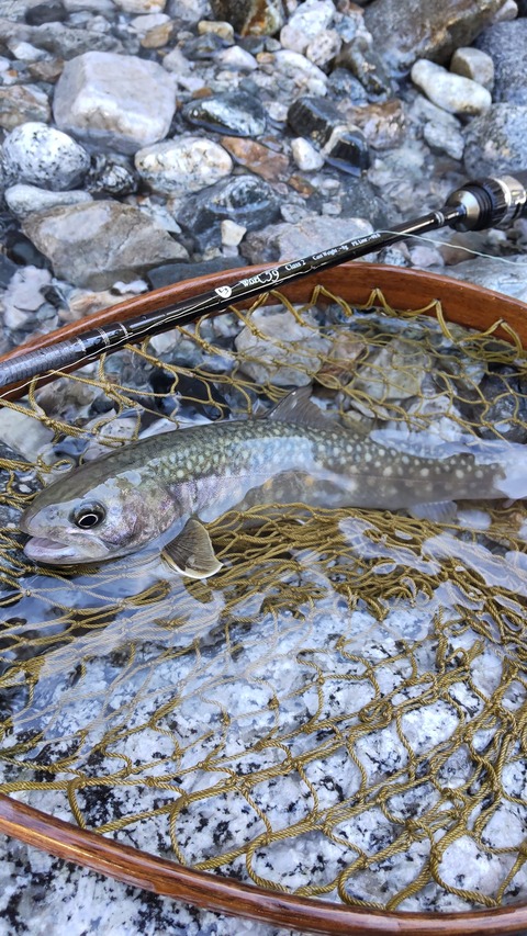 309213297_3376271752696160_4740986335695817971_n