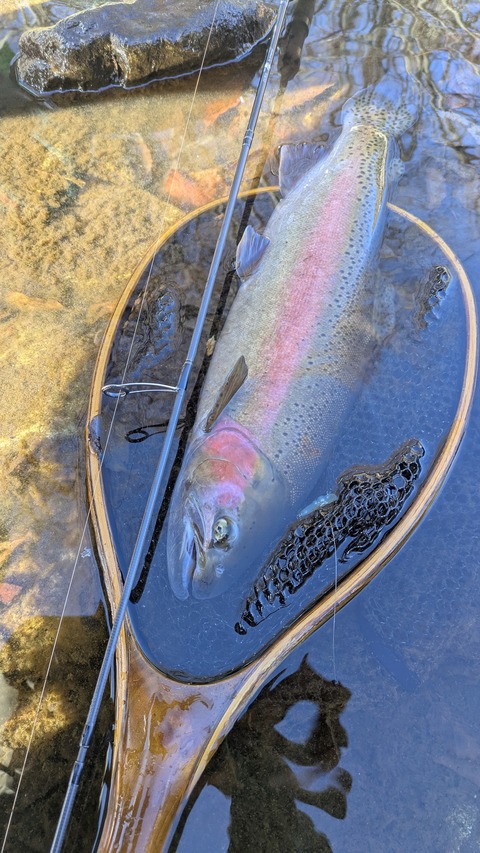 PXL_20251227_042852633