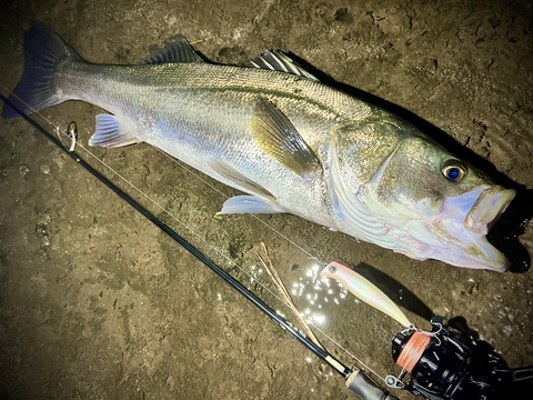 レポート当日の画像 (2)