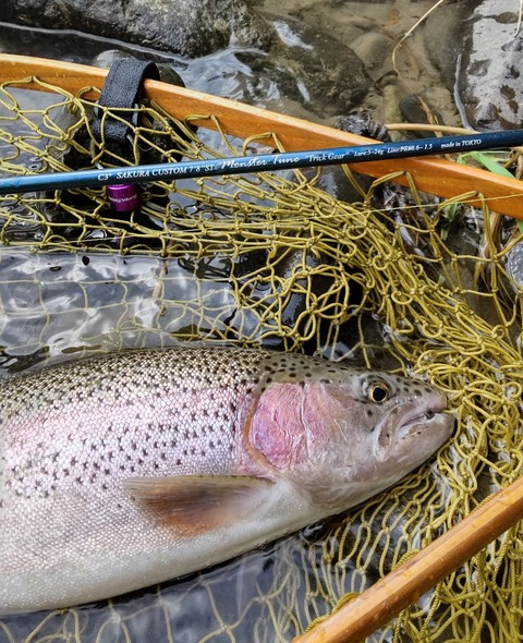 298285080_3391902924466376_6066314608910583517_n