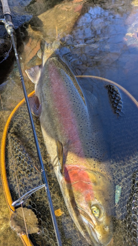 PXL_20251227_042827145