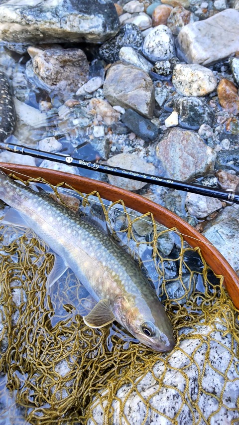 305408826_3376271792696156_88961259632953472_n