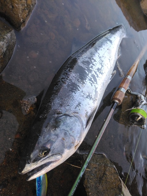 IMG_20230216_165527_2