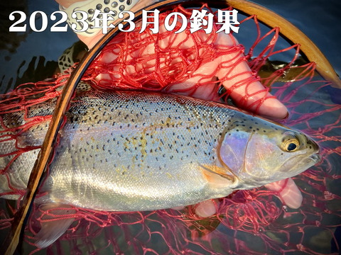 E9C9E3F4-CFD3-4A70-9901-459AA82774F72023-03-22_17-16-11_400