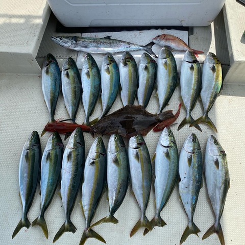 9617E5A6-41C6-4C94-9343-F12DE3D98677