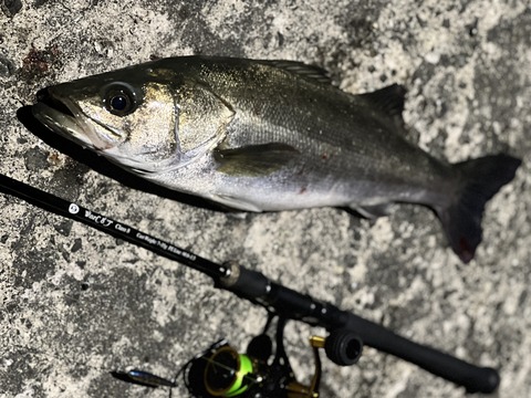 2025-06-20_01-20-46_853