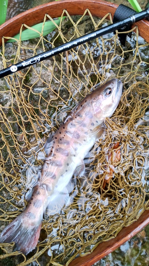 305846912_3376272056029463_3289497635157598994_n