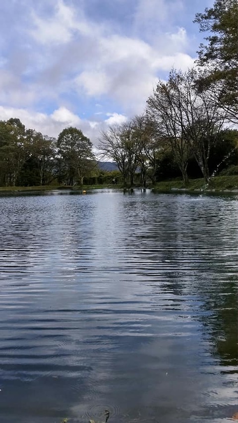 246215866_3090387901284548_4374513112827581844_n