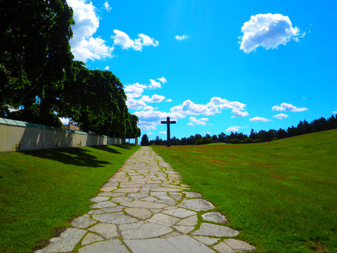 dfd919e0fde1401de96cbfe2ad0ff686