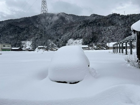 fa54efdf-8194-4ce5-a0c8-4ce2b4b835af